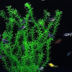 dskoiph décoration plante aquarium artistique verte, effet naturel améliorant l'ambiance du réservoir.