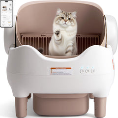 Duabes Litière automatique, vue d'ensemble, design pratique pour plusieurs chats.