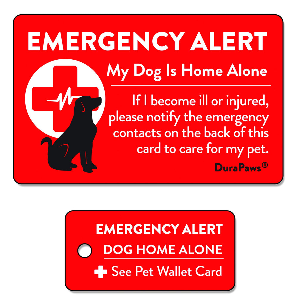 Carte d’urgence DuraPaws chien, face rouge brillante pour alerter les secours et contacter le gardien.
