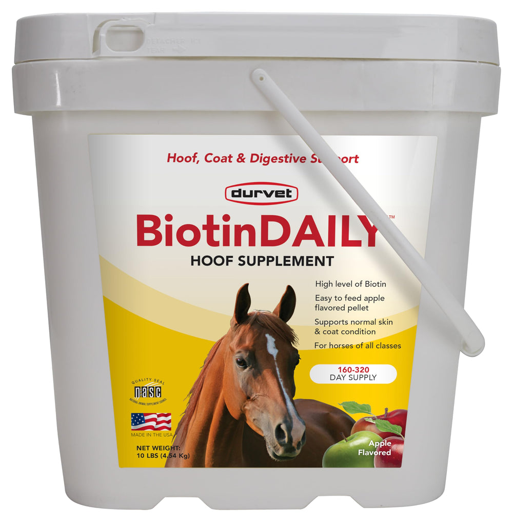 Durvet BIOTIN Daily 10# – Bouteille pratique favorisant la santé des sabots et du pelage.