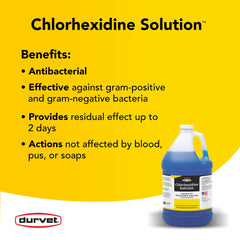 Chlorhexidine 2% Durvet pour chiens : utile après insectes ou coupures superficielles.