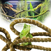Duspro liane mousse 6,5 pieds flexible pour l'escalade des reptiles.
