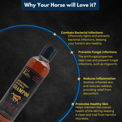 Application sur le cheval avec le shampoo E3, distribution homogène.