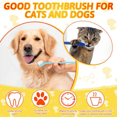 Eaasty brosses dentaires, brins doux qui protègent les dents des animaux.