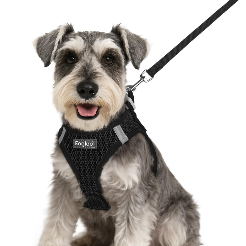 Harnais Eagloo à enfiler pour petit chien, pratique pour les promenades rapides.