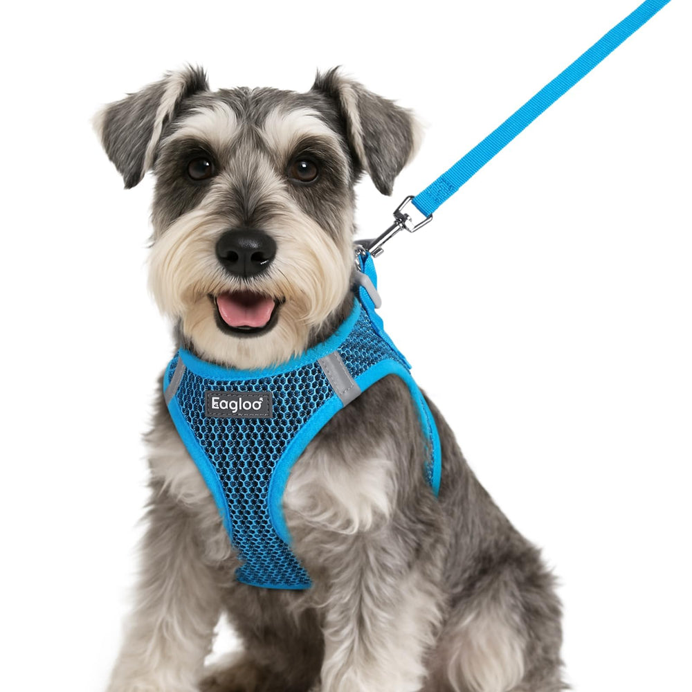 Harnais Eagloo bleu pour petit chien avec mesh respirant et confort.