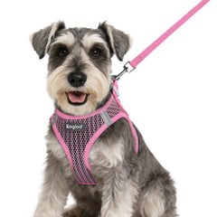 Harnais Eagloo rose pour petit chien, enfilage simple et rapide