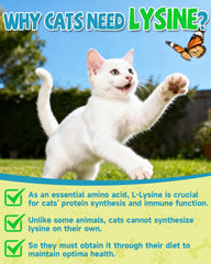 Gouttes Eagou Diary L-Lysine pour le soutien des voies respiratoires.