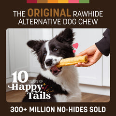 Earth Animal friandises sans peau : chien en action, stimulation mentale et physique.