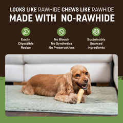 Chien qui mastique une friandise Earth Animal Sans Peau close-up