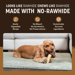 Premier plan: friandises sans cuir Earth Animal, facile à mâcher pour petits chiens.
