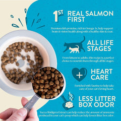 Earthborn Holistic Wild Sea Catch: sans gluten ni céréales, convient aux chats sensibles.