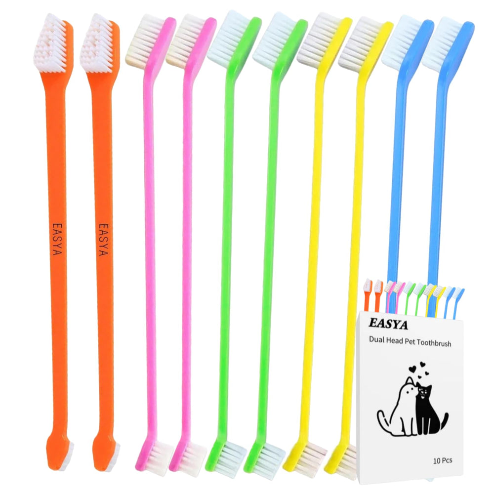 Brosse Easya double-tête pour chiots et petits chiens, nettoyage ciblé.