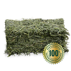 Eaton Pet and Pasture Timothy Ouest – texture fibreuse et saveur naturelle