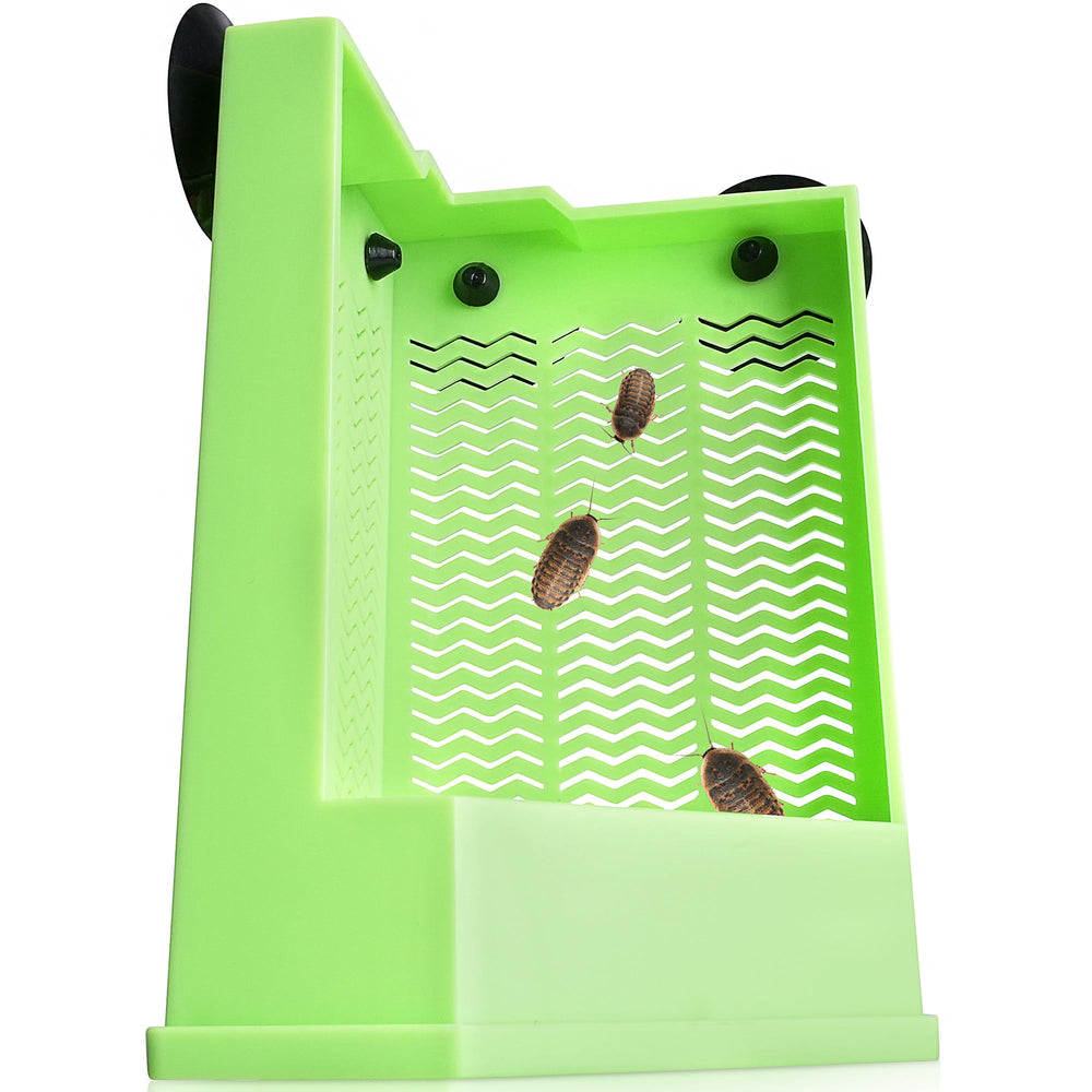 Bol Eckpo d'alimentation d'insectes sur verre, ventouse solide pour reptiles.