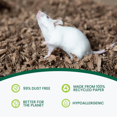 ECO BEDDING FiberCore – sans poussière pour un intérieur sain.