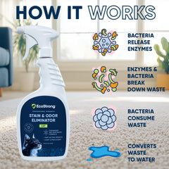 Eco Strong Nettoyant Taches Odeurs Chat Tapis, traite taches et senteurs sur tapis.