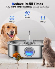 Grand bac d’eau profond facilitant l’accès à l’eau des grands chiens.