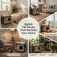 Ecove Pamily Postes-griffes-bois-durables: stimulation et protection des mobiliers.