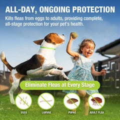 EcoVenger collier chien en action, libération lente pour une protection continue.
