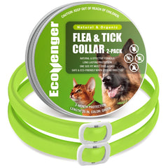 EcoVenger collier Puces et tiques chien en action, protection naturelle et durable.