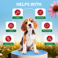 Gouttes EduZebra adaptées pour chiens et chats, couvrent toux sèche et humide.