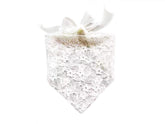 EechicSpace bandana princesse dentelle blanche petit chien, accessoire élégant pour cérémonie.