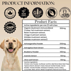 Chien heureux et actif après les friandises champignons Electric Elixir.