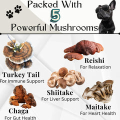 Friandises champignons Electric Elixir pour chien, soutien digestif et vitalité.