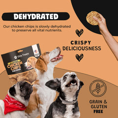 Chien en action recevant une friandise Elite Treats pendant l’entraînement.
