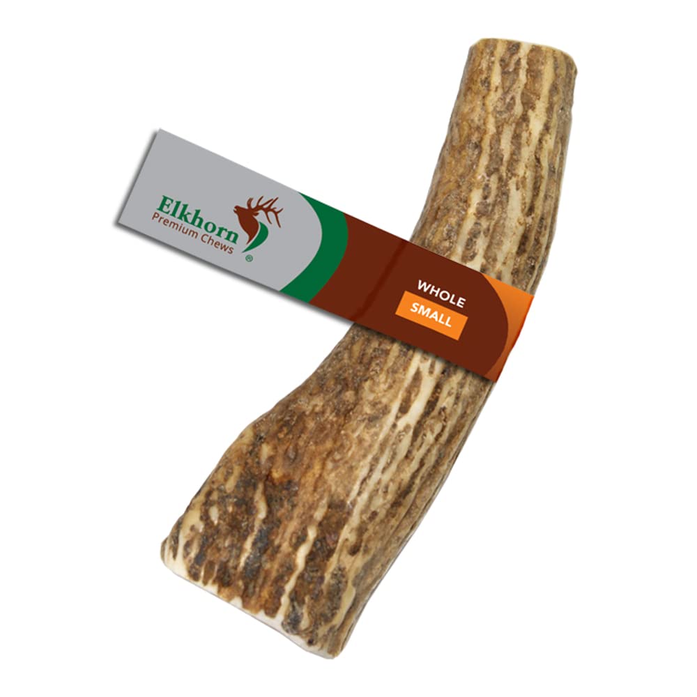 Elkhorn Premium Chews, gros plan sur petit os de cerf entier, mastication durable.