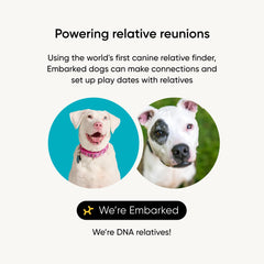 Embark ancestry-trace-ancetres: retraçage de l'ascendance et des ancêtres