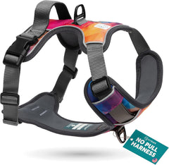 Harnais Embark moyen avec attache avant anti-traction pour promenades plus sûres.
