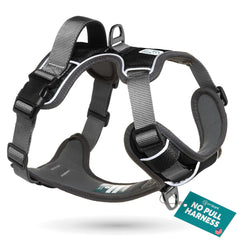 Harnais Embark Pets pour grands chiens avec attache avant pour limiter les tirages.