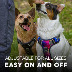 Harnais Embark Pets en nylon militaire, matériel robuste pour grandes balades
