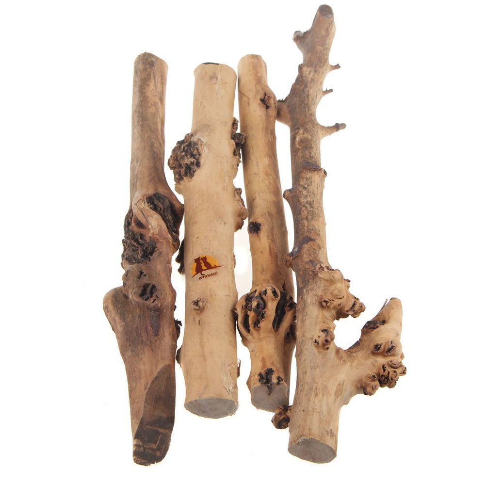 emours branche foret naturelle pour terrarium, facile à grimper et explorer.
