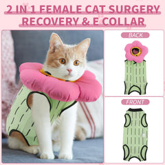 EMUST fermetures autoagrippantes dos chat fermeture pratique assurant un maintien sûr.