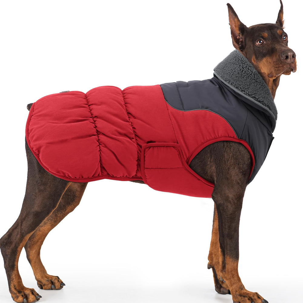 EMUST manteau chien moyen rouge posé sur le dos, chaleur et protection assurées.