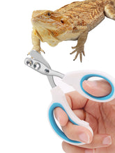 Engorgio coupe-ongles dragon barbu en acier inoxydable, précision durable pour griffes.