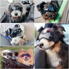 Enjoying lunettes chien petit protection UV pour les yeux