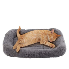 Enjoying Cat Mat Bed surface en peluche douce pour un repos cosy.