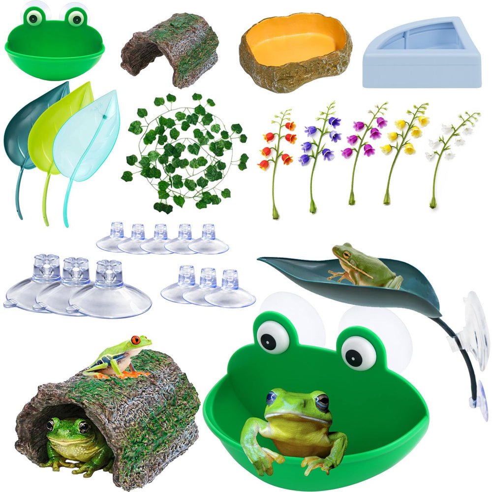 Enochainchin ensemble-accessoires-grenouille : habitat naturel et décoratif