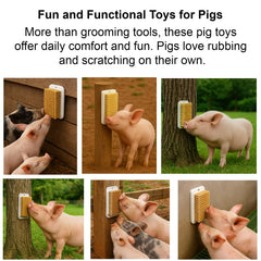 Brosse-soin Enochainchin pour cochon mini, outil de toilettage pratique et ludique.