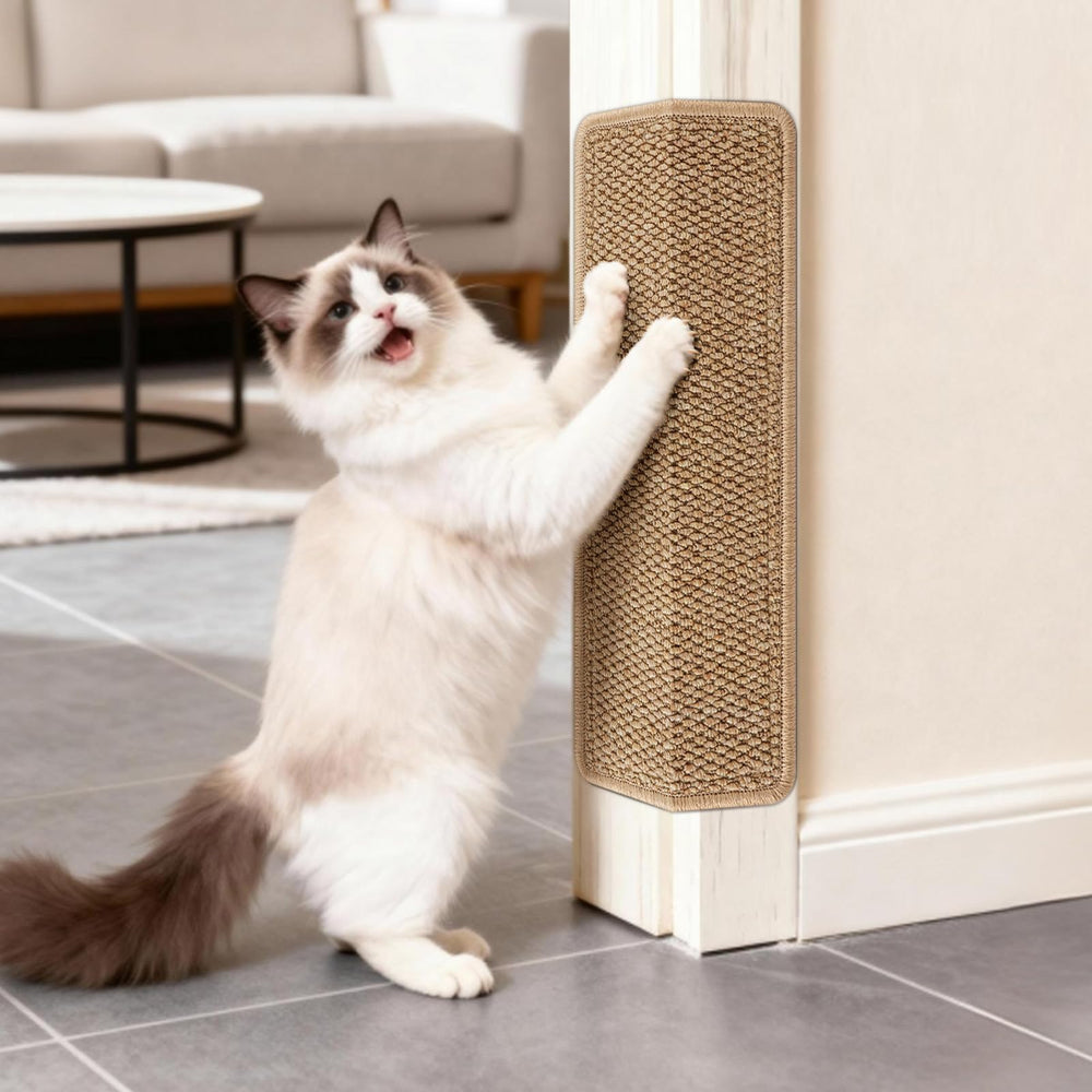 ENONCI protège le coin mur-chat, protection efficace des murs contre les griffes.