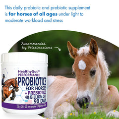 Equa Holistics HealthyGut, dosage quotidien selon le poids du cheval