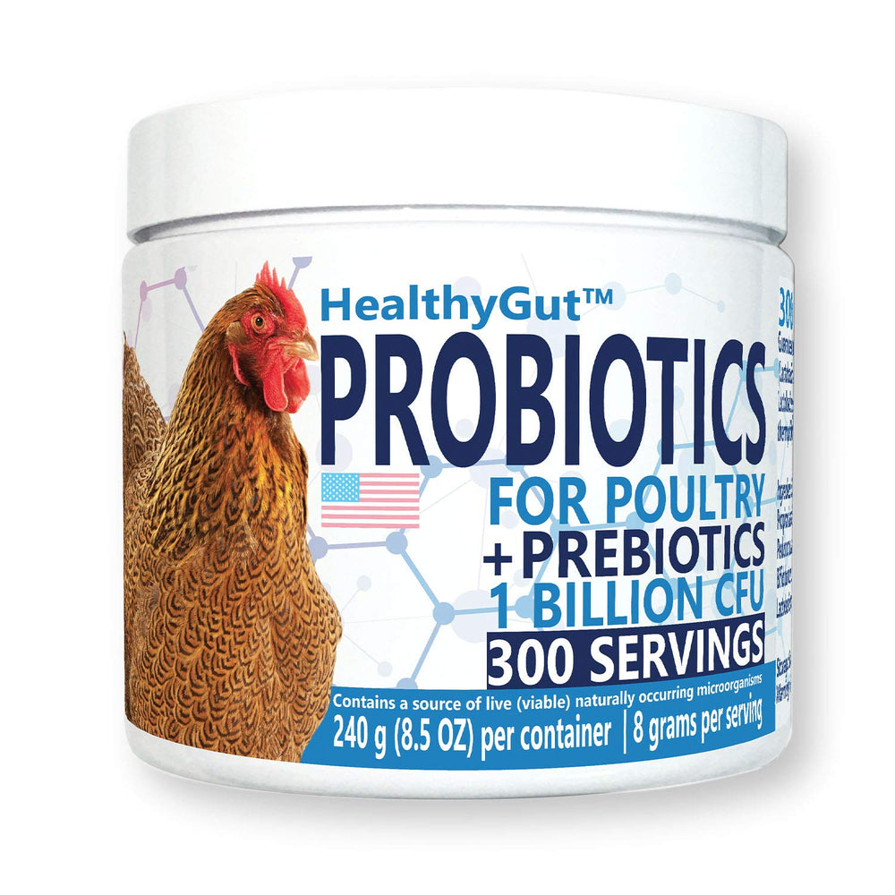 Equa Holistics HealthyGut Probiotics: bouteille prête à l’emploi, soutien digestif pour poulets