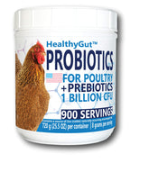 Equa Holistics HealthyGut Probiotics – bouteille, soutien digestif naturel pour poulets