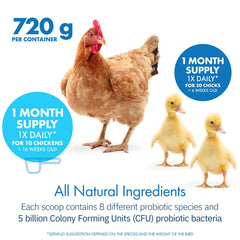 Equa Holistics HealthyGut Probiotics – saupoudrage sur nourriture pour poulets en croissance