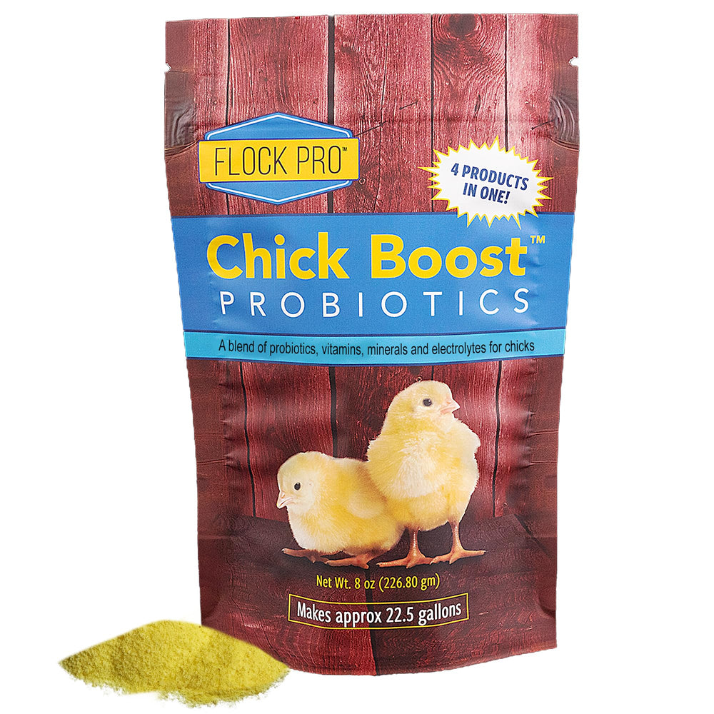 Equerry's Chick Boost Probiotique dans l'eau pour soutenir la flore digestive des poussins.
