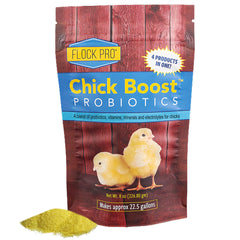 Equerry's Chick Boost Probiotique dans l'eau pour soutenir la flore digestive des poussins.